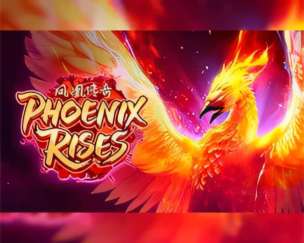5588bet-phoenixrises